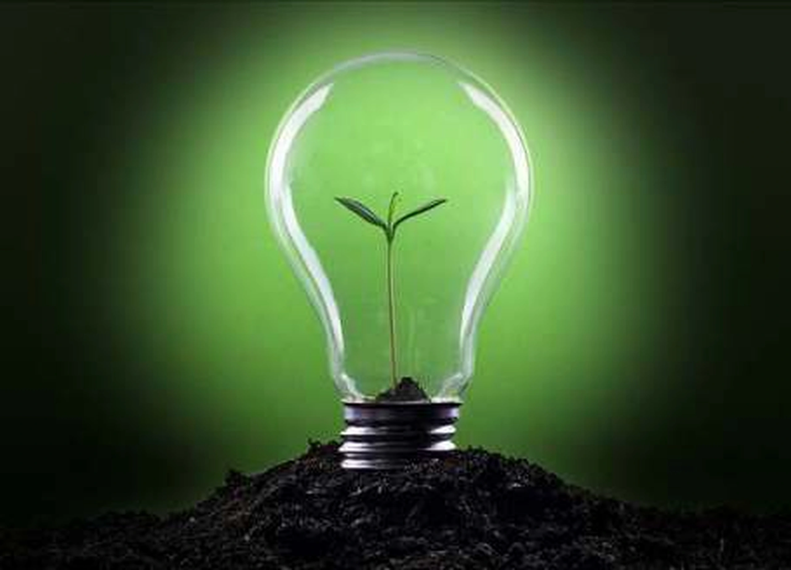 Lâmpada com muda de planta sobre o solo